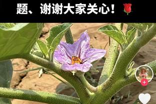 ?里程碑！杜兰特生涯总得分追平摩西-马龙 并列历史前十！